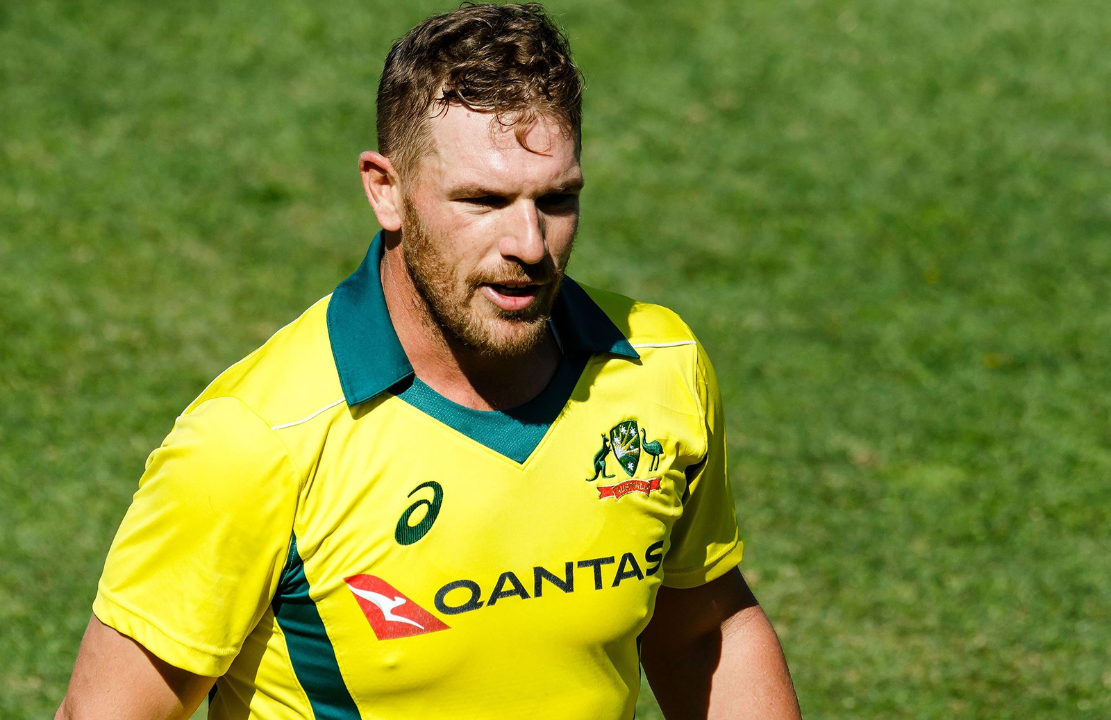 After Zimbabwe defeated Australia, Aaron Finch warned against taking teams  for granted. You might be beaten at any time. | The Sports Tattoo