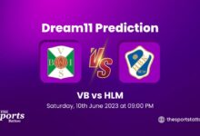 VB vs HLM Dream11 Football Prediction, Swedish League 2023, Fantasy Football, Top Picks, Broadcast, Predicted XI