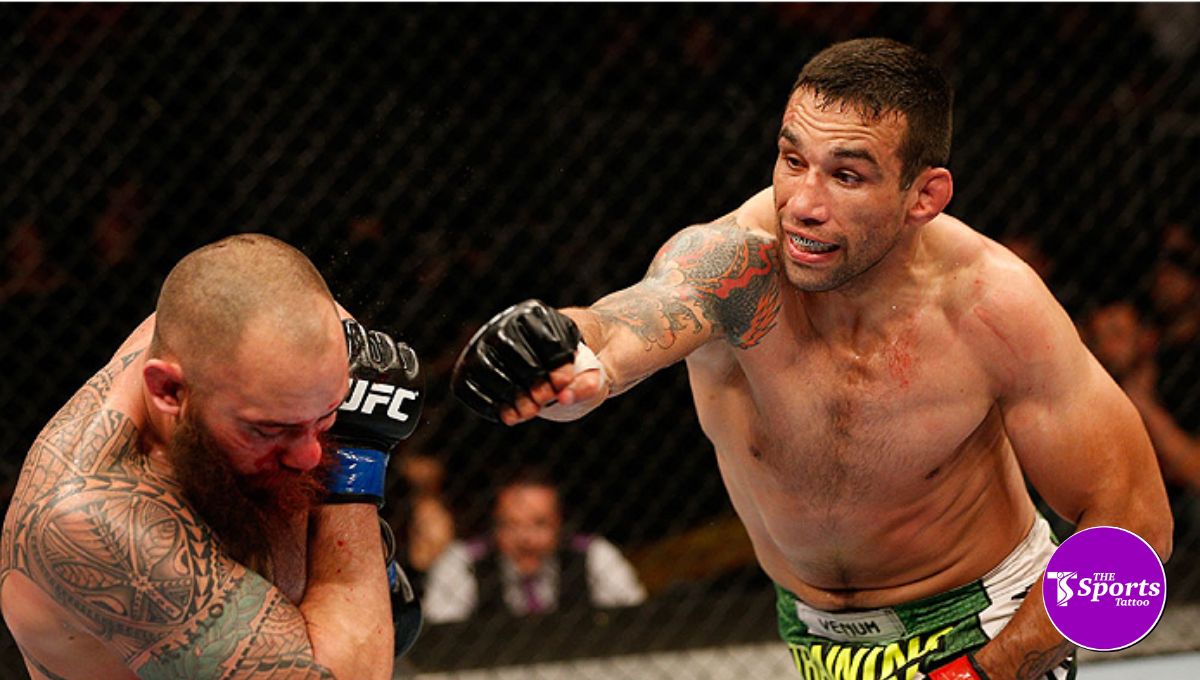 Fabricio Werdum Biography