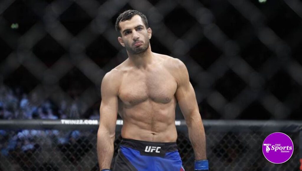 Gegard Mousasi Biography