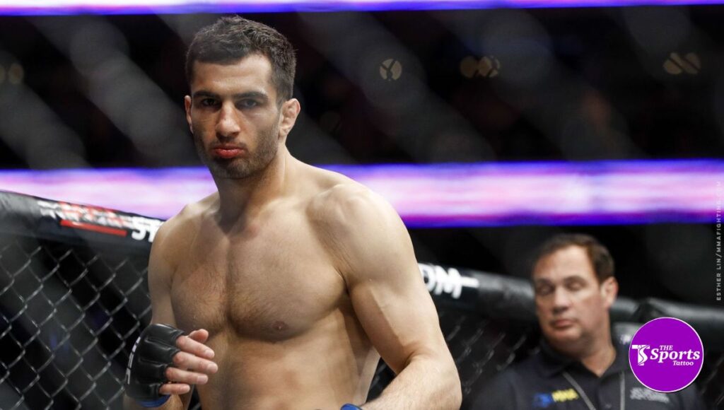 Gegard Mousasi Biography