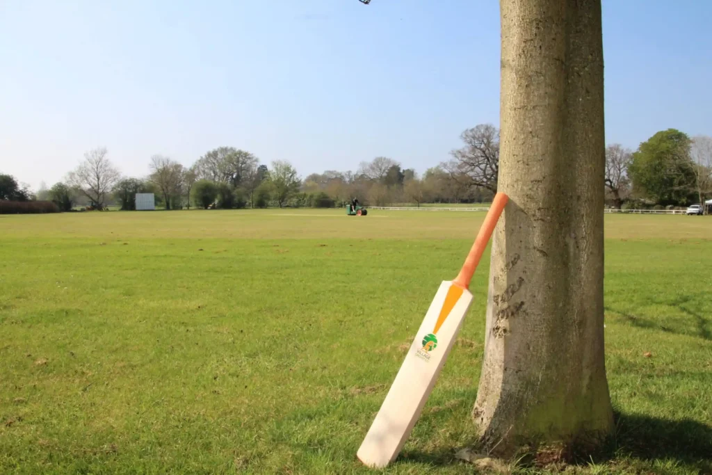 Wood And Fiberglass Cricket Bats