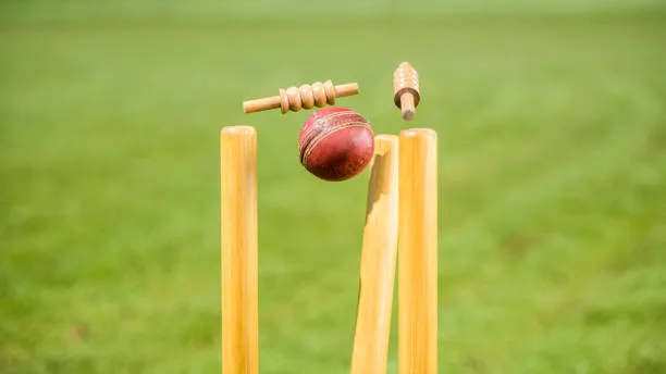 Wicket In A Cricket Game